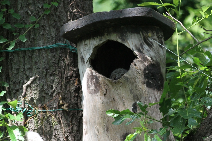 c0324393_2230975.jpg