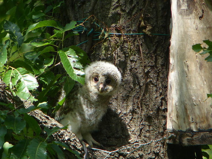 c0324393_22353446.jpg