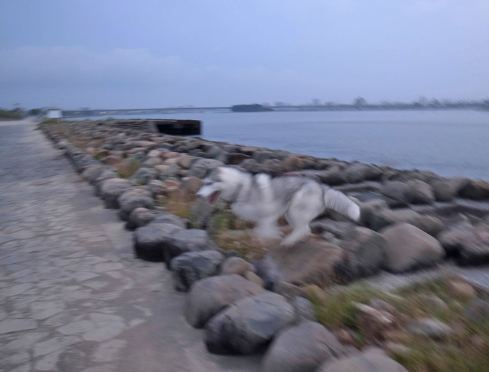 c0049299_21595172.jpg