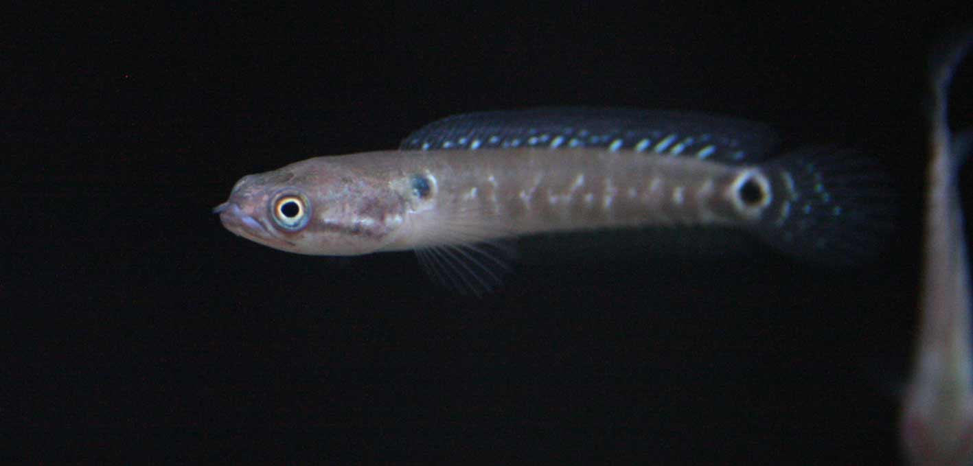 c0165800_21433156.jpg