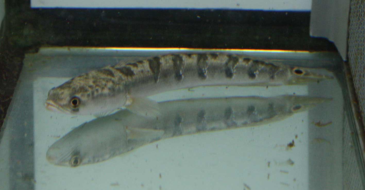 c0165800_21435526.jpg