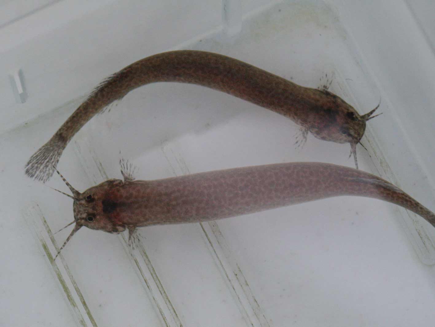 c0165800_2145582.jpg