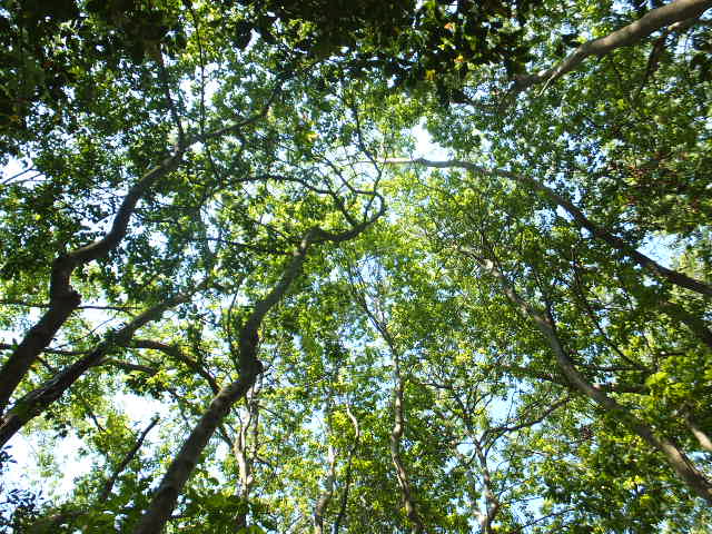 a0271502_15205057.jpg