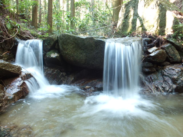 a0271502_15263313.jpg