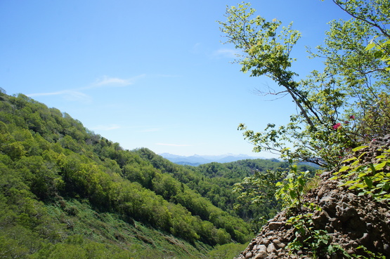 a0248508_1940446.jpg