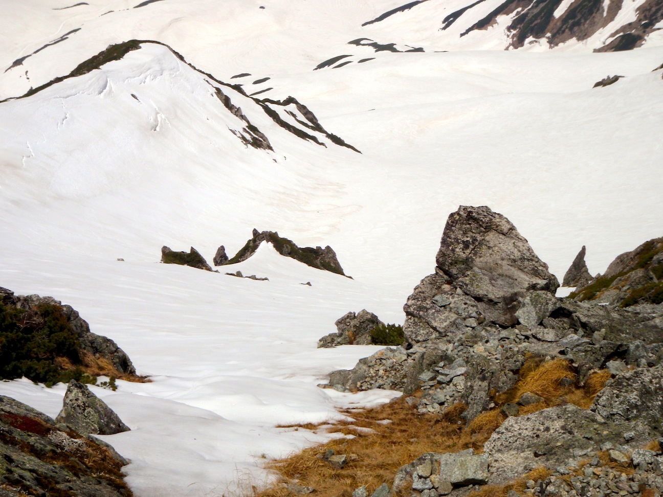 c0078410_745654.jpg