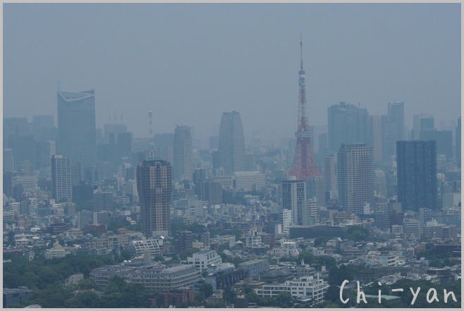 e0219011_936951.jpg