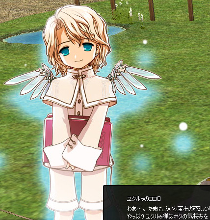 私と精霊武器 Go Go めろんぱん