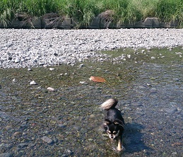 c0315313_11085442.jpg