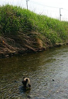 c0315313_11094706.jpg