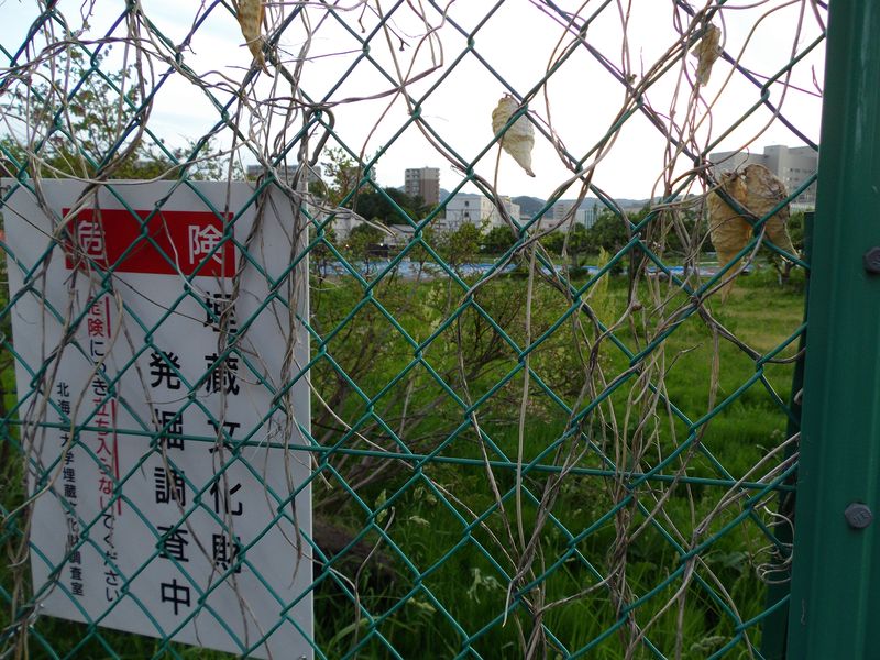 北大祭の喧騒から疎外されて_c0025115_204359100.jpg