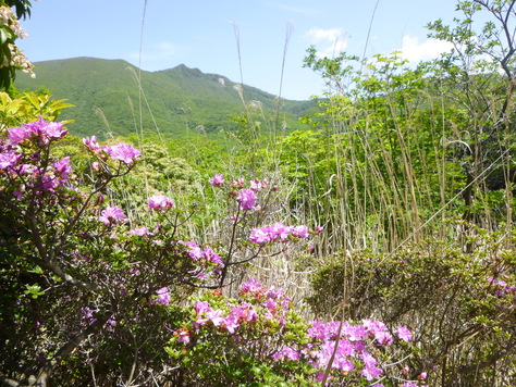 日本百名山　九重山群　久住山下山　編_d0170615_10361685.jpg