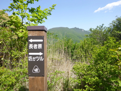 日本百名山　九重山群　久住山下山　編_d0170615_10363622.jpg