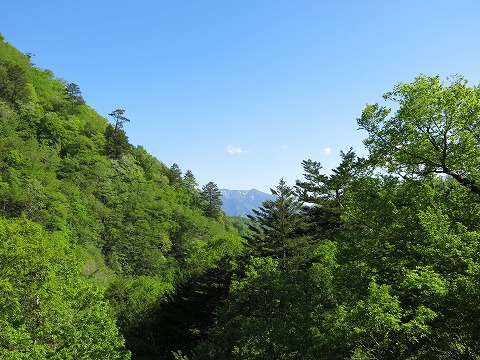 d0227723_1411456.jpg