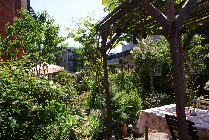 f0170524_22281527.jpg