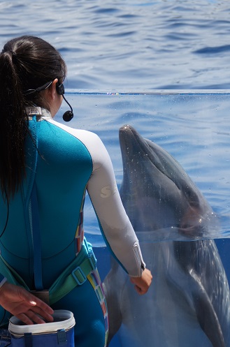 京都水族館_c0235725_23294180.jpg