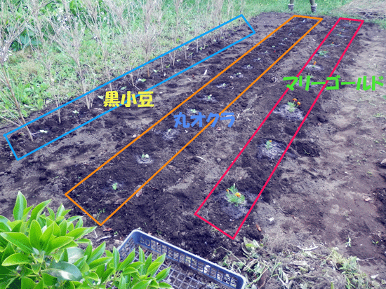 a0119827_22431124.gif
