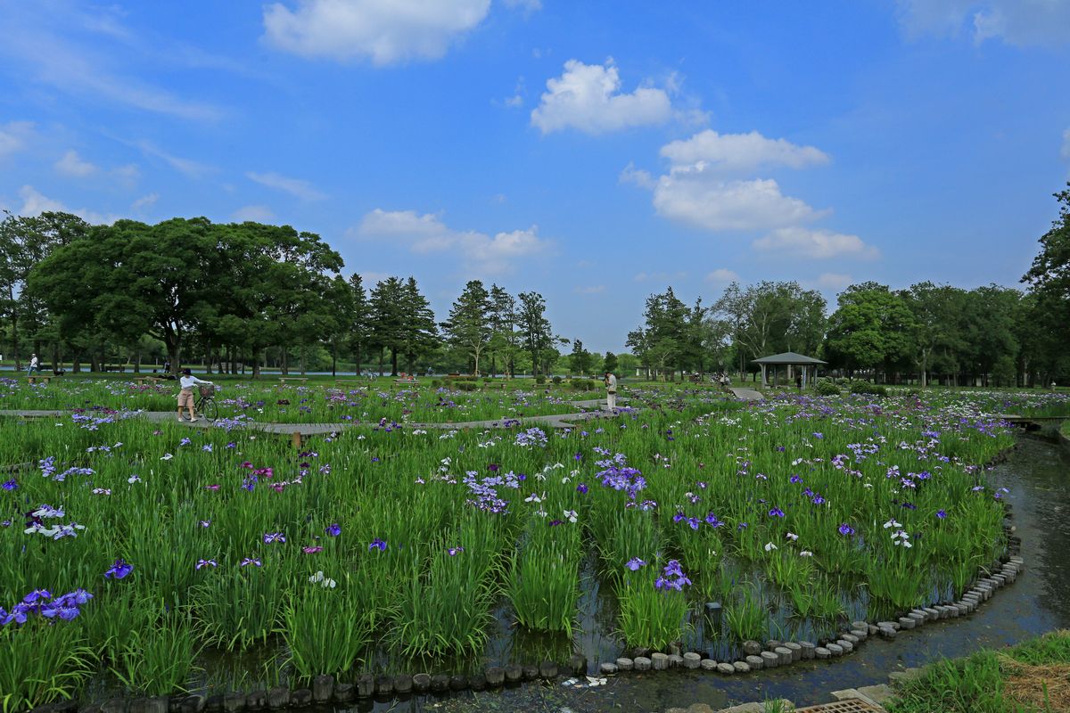 c0104227_838687.jpg