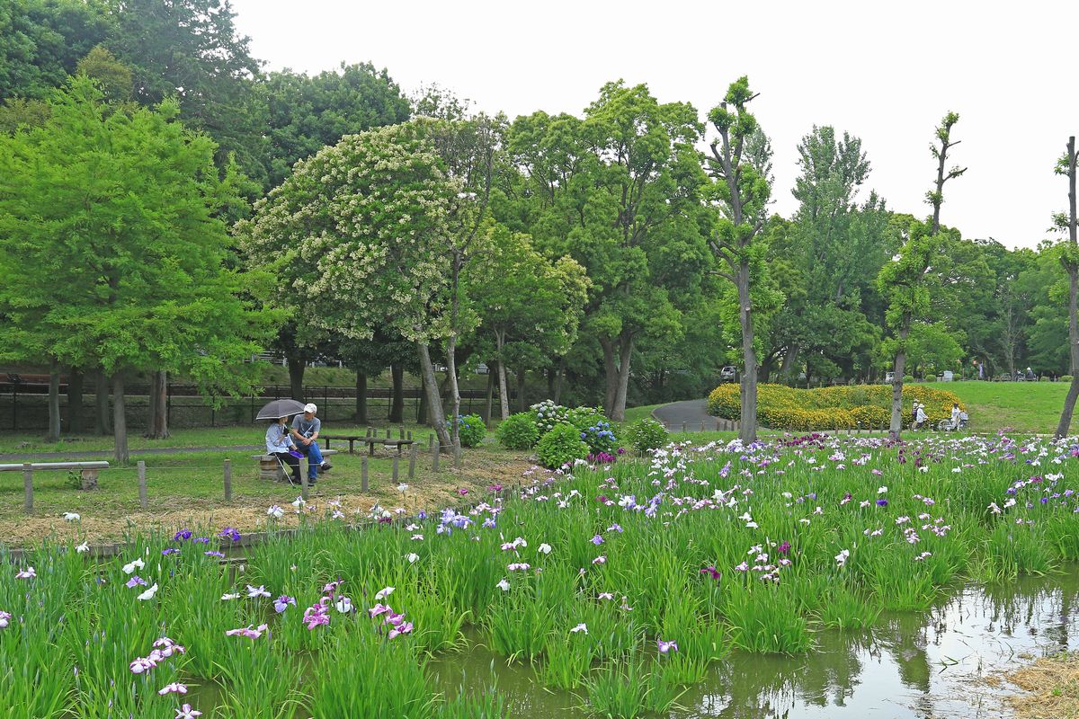 c0104227_9202083.jpg