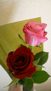 f0202427_21513434.jpg