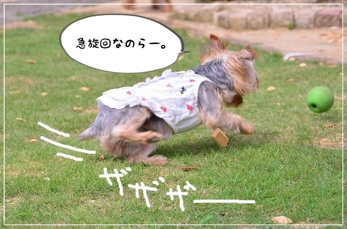 BBQパーティの続きだよ。_d0179828_20274614.jpg