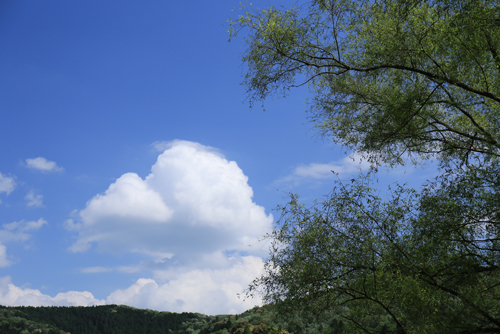 せめて、青空と太陽を・・・私のお気に入り♪_a0245136_19525841.jpg