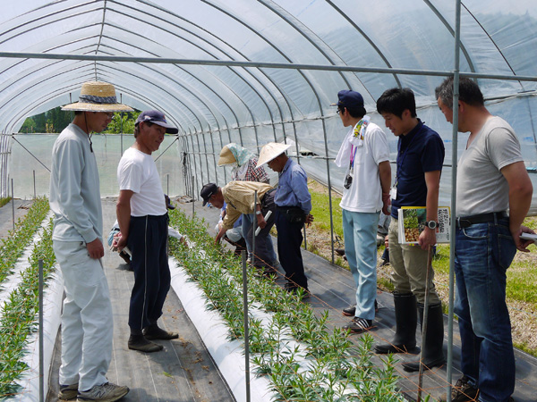 カスミソウのあぜ道講習会！_f0329538_14304423.jpg