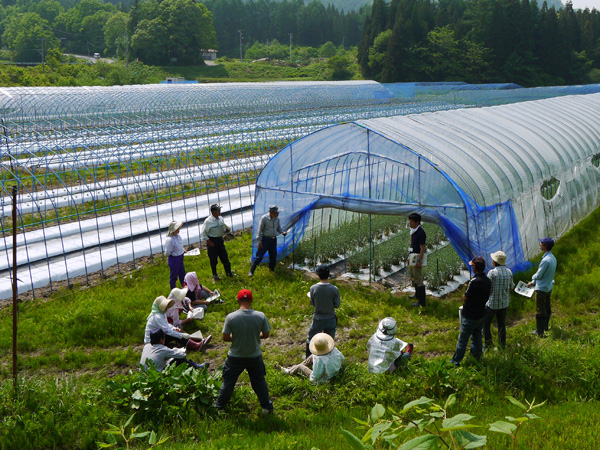 カスミソウのあぜ道講習会！_f0329538_14311332.jpg