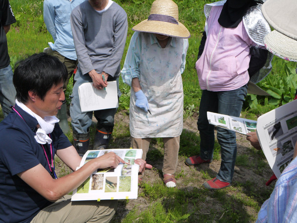 カスミソウのあぜ道講習会！_f0329538_14313399.jpg