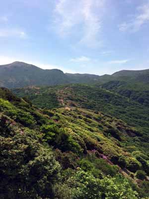 e0110940_35453.jpg