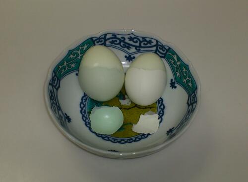e0291042_971459.jpg