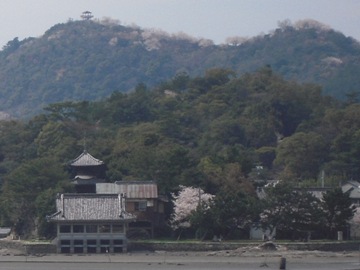 d0049152_1132136.jpg