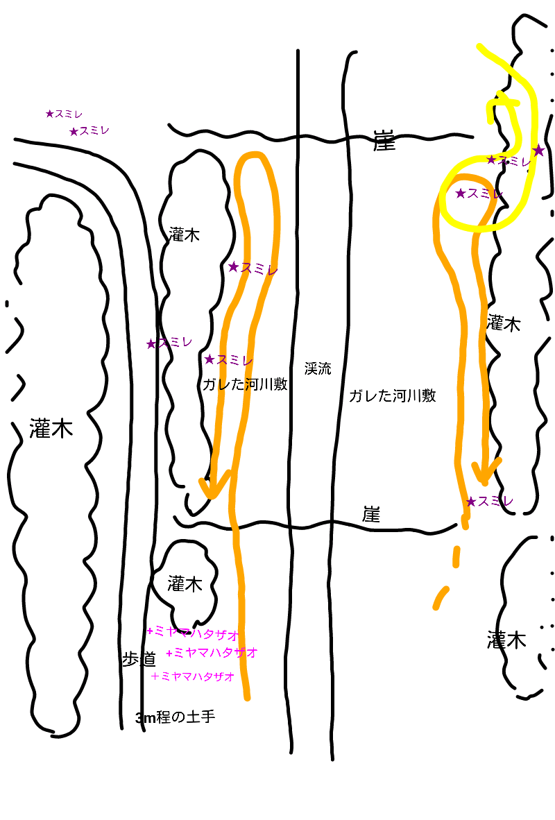 d0176157_23575073.png