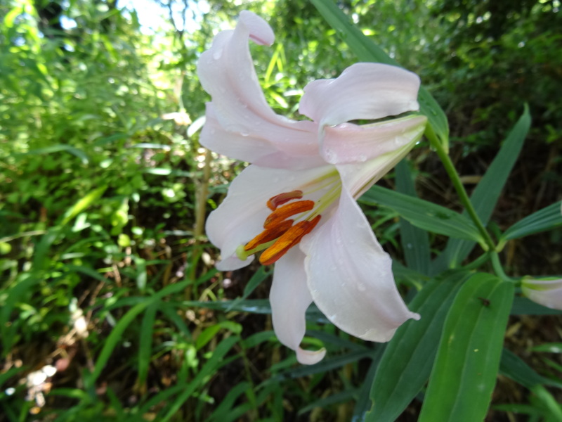 c0108460_22553181.jpg