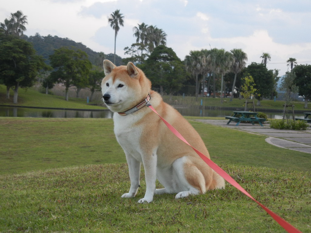 ’14,6,5(木)ここって楽園のようなところなの?_f0060461_1022021.jpg