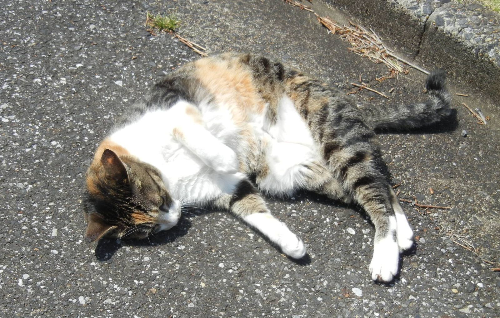 ’14,6,5(木)ここって楽園のようなところなの?_f0060461_1040391.jpg