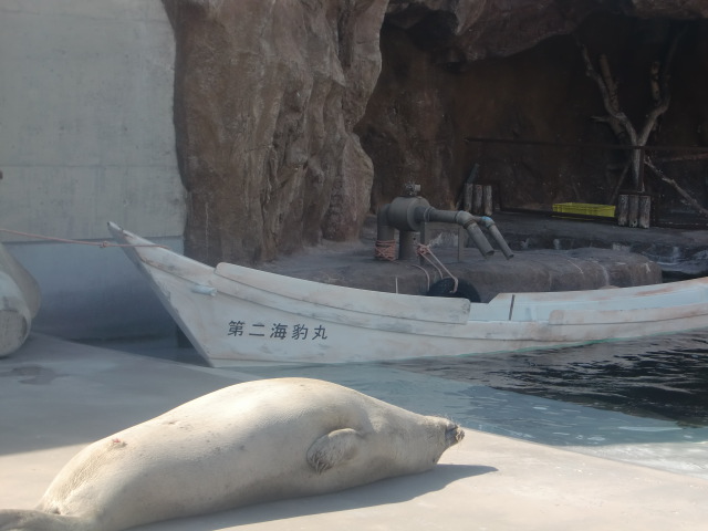 旭山動物園 あざらし館 気ままな食いしん坊日記２