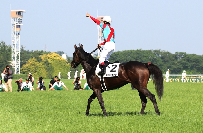 日本ダービー ワンアンドオンリー優勝 : Turfに魅せられて・・・（写真