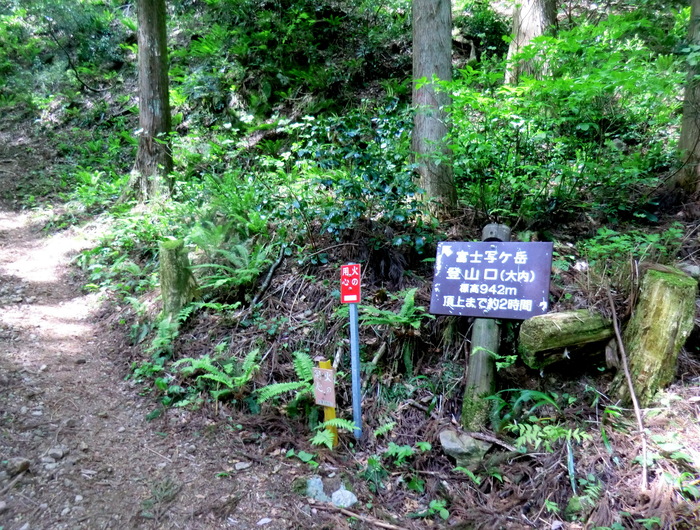 No349 2日後にまた北陸へ・シャクナゲﾛｰﾄﾞの火燈山から富士写ケ岳_b0185573_15352227.jpg