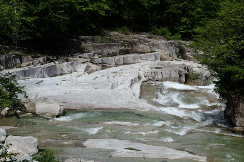 e0015174_01801.jpg