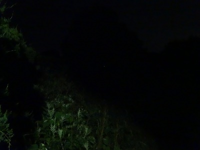 タタラ作業と蛍_d0195183_0391468.jpg
