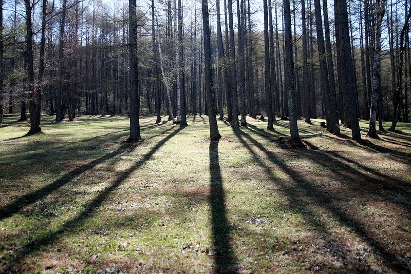 f0238184_0979.jpg