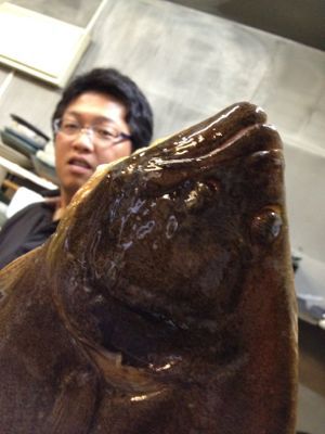 黒くな_b0198285_1726149.jpg