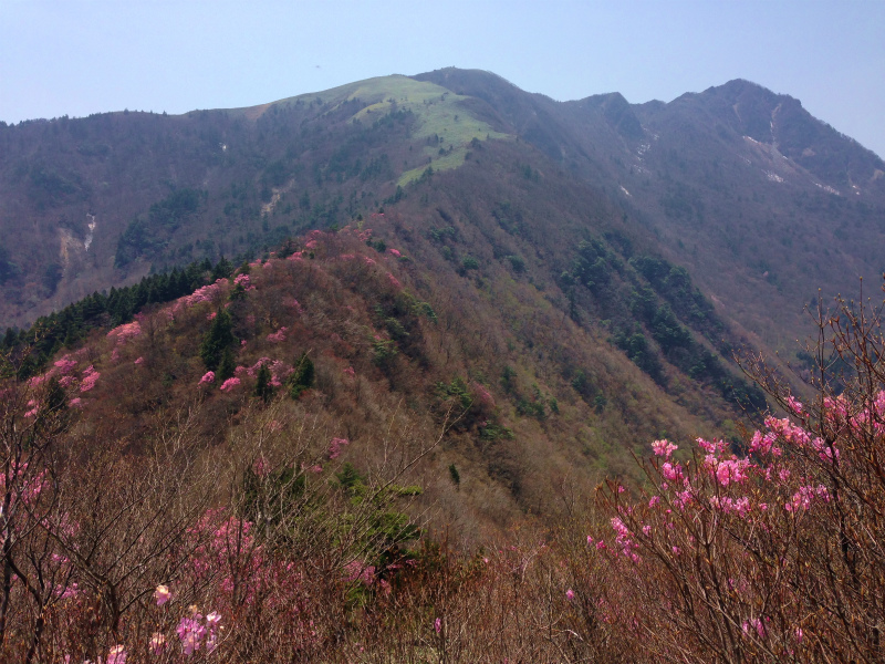 石鎚ロングトレイル Fast Packing Day.2 2014/05/08-10 _b0220886_1759760.jpg