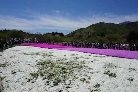 e0194987_0271.jpg