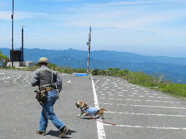 f0205887_2122522.gif