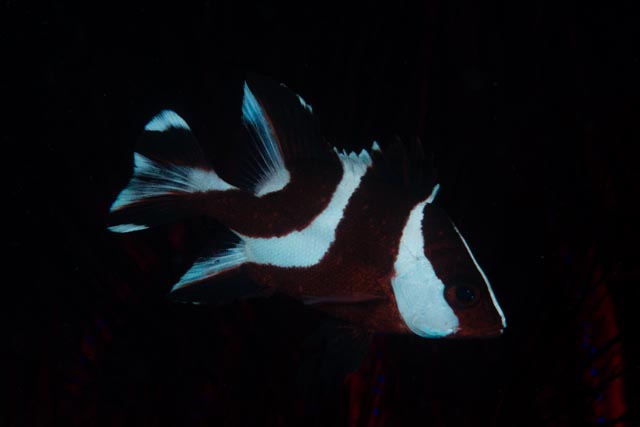 e0064291_19423428.jpg