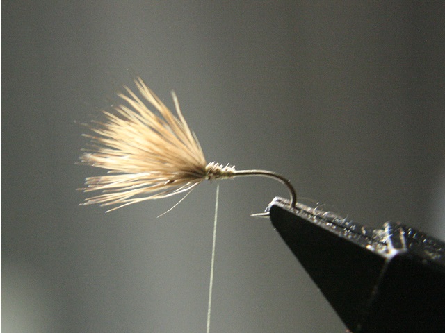 e0144195_23375356.jpg
