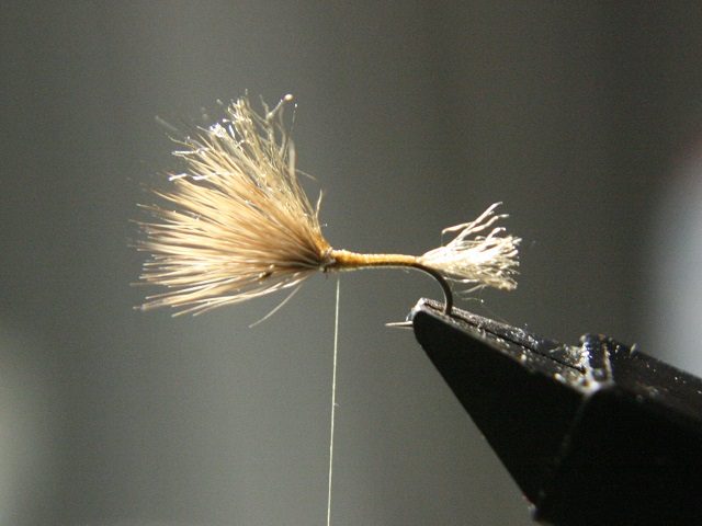 e0144195_23383541.jpg