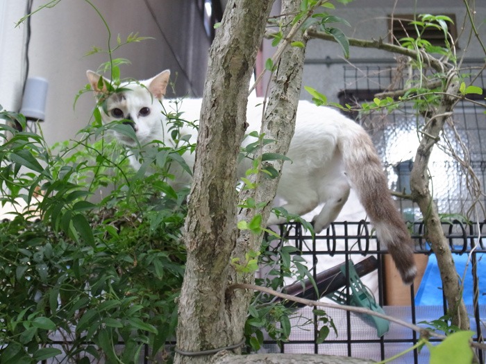 雨の季節　(*^_^*)_c0049299_22222526.jpg